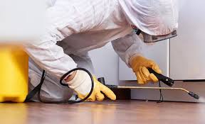 Best Commercial Pest Control  in Carter, TX